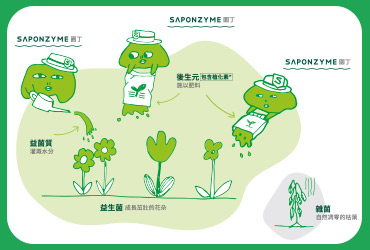 益生菌生成物是什麼